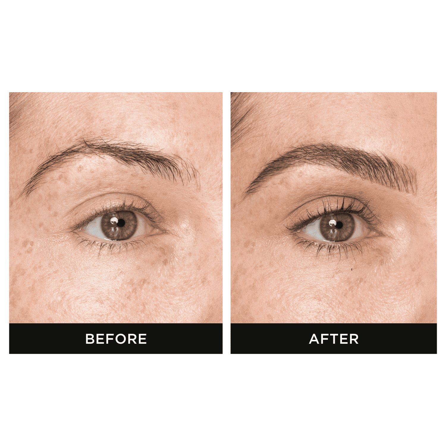 EyebrowQueen Brow Pro
