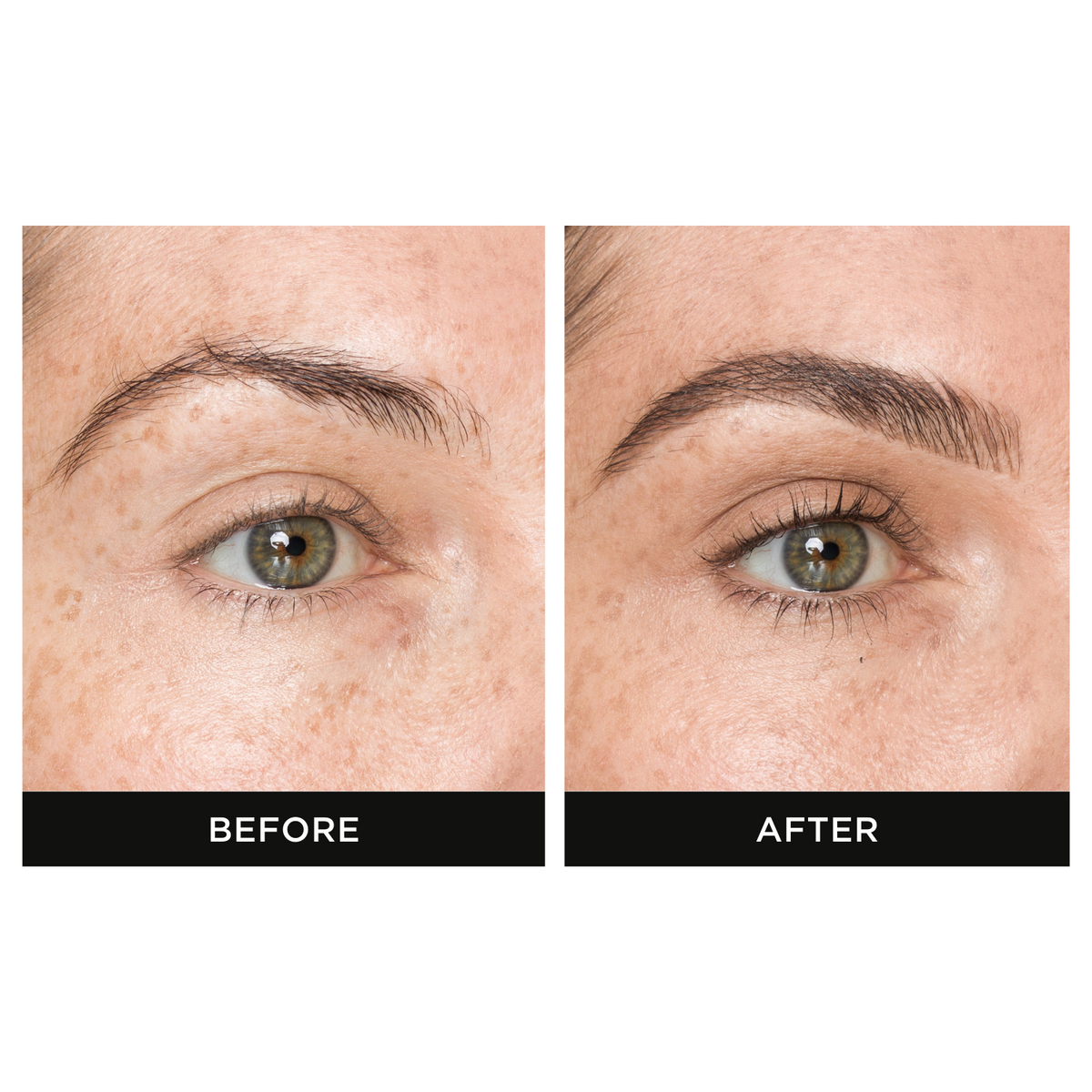 EyebrowQueen Future Queen Kit