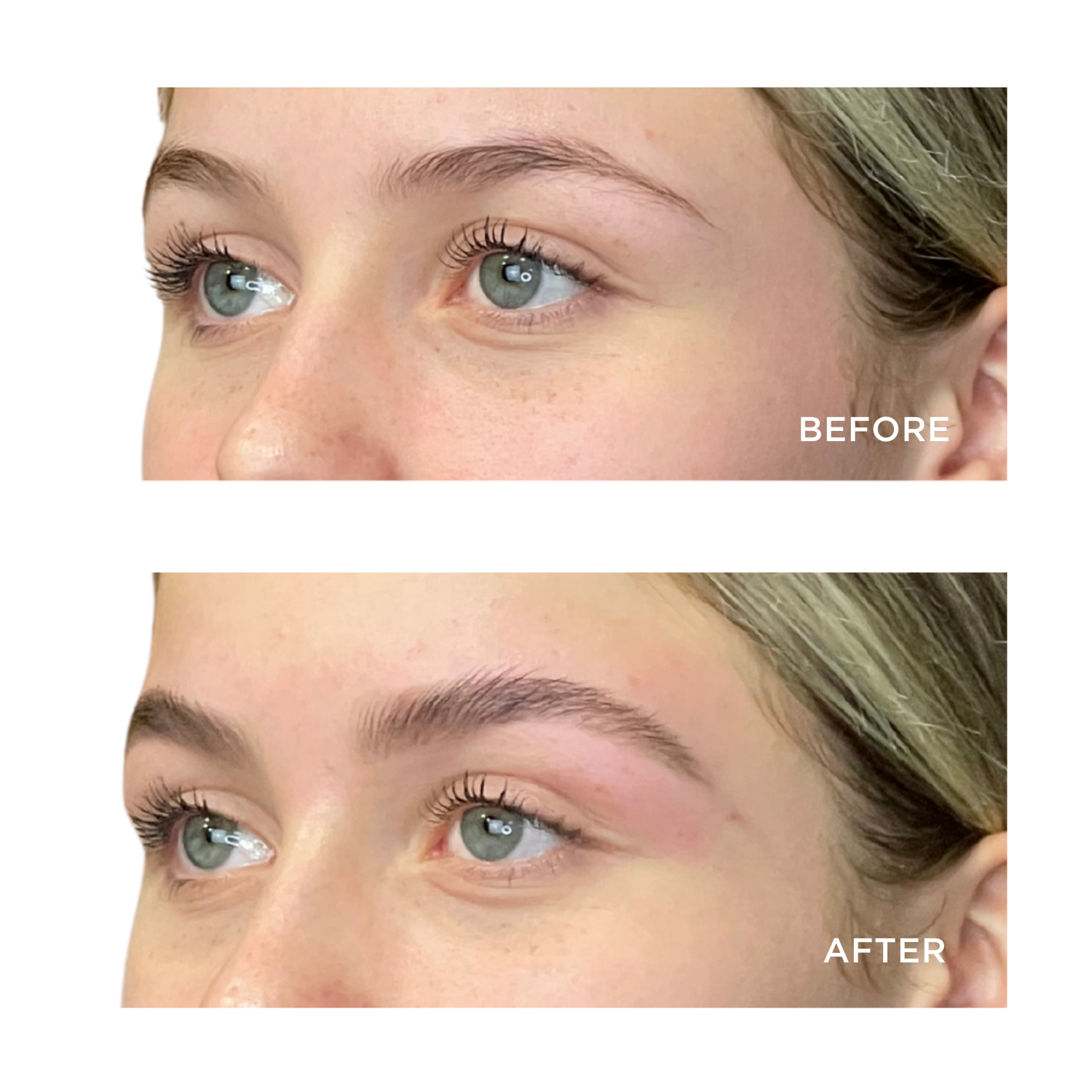 EyebrowQueen Brow Pro
