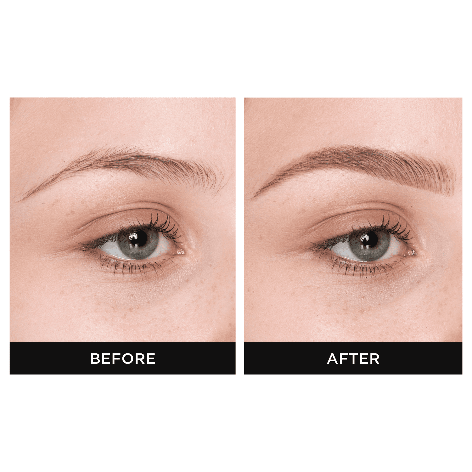 EyebrowQueen Brow Palette