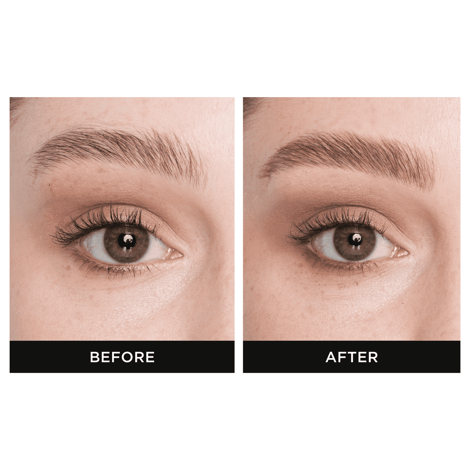 EyebrowQueen Brow Colour Boost