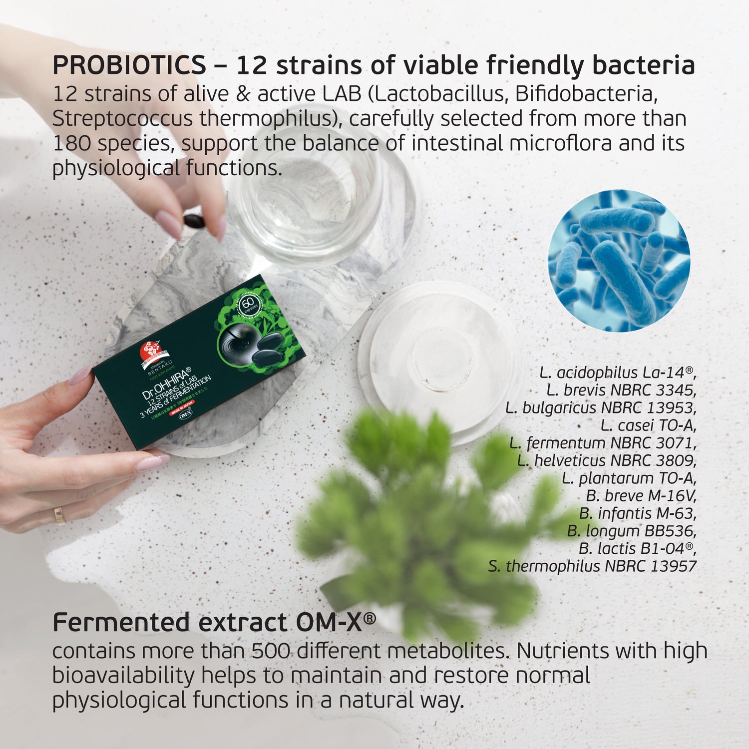 Dr. OHHIRA® STANDARD 12 Strains of LAB PROBIOTICS - 3 years of fermentation (NON-VEGAN)